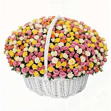 Премиум букет из: Розы в Алзамае