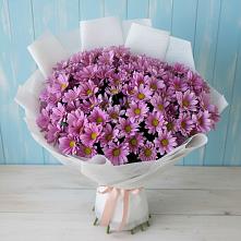 Букет цветов из:  Хризантемы в Алзамае