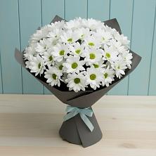 Букет цветов из:  Хризантемы в Алзамае