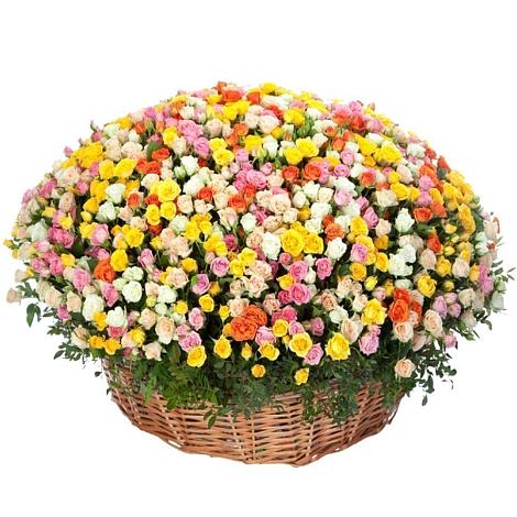 Премиум букет из: Розы в Алзамае
