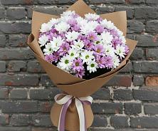 Букет цветов из:  Хризантемы #REPLACE_PRED# Алзамае