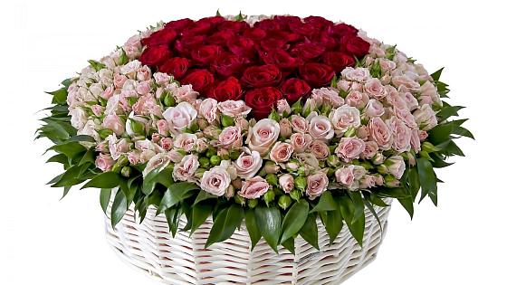 Премиум букет из: Розы в Алзамае