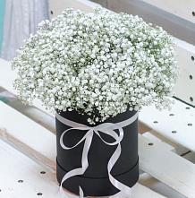 Цветочная композиция из Гипсофила в шляпной коробке в Алзамае
