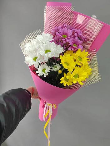 Букет цветов из: Хризантемы в Алзамае