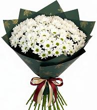 Букет цветов из:  Хризантемы #REPLACE_PRED# Алзамае