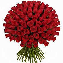 Букет Красные розы Чери Лав #REPLACE_PRED# Алзамае